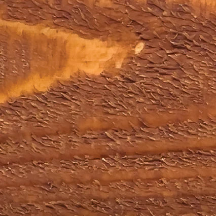 Pecan stain