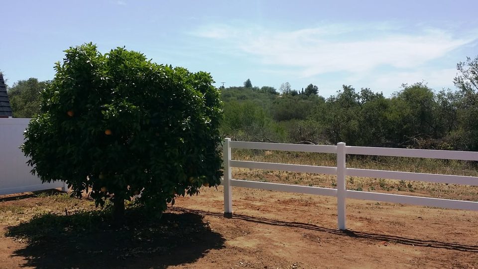 White three-rail ranch fence beside a mature tree on a dirt lot