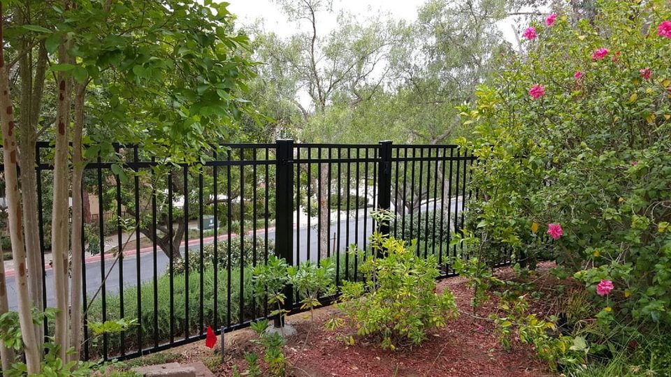 Black ornamental wrought iron fence bordering a mature flowering garden